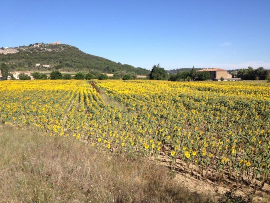Maison d'hôtes La Bastide *